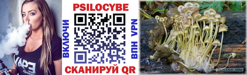 mega онион  Чёрмоз  Галлюциногенные грибы мухоморы 